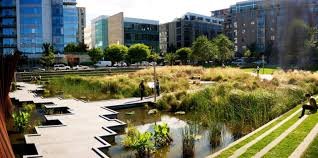 Desarrollo y Gestión de Proyectos de Infraestructura Verde